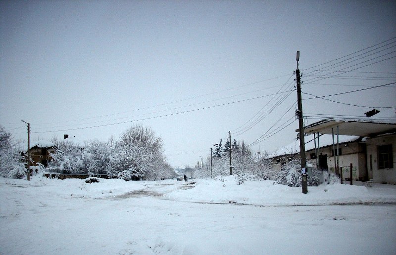 DSCI0282.JPG