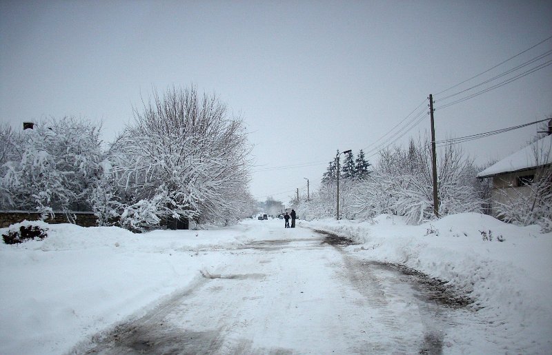 DSCI0284.JPG